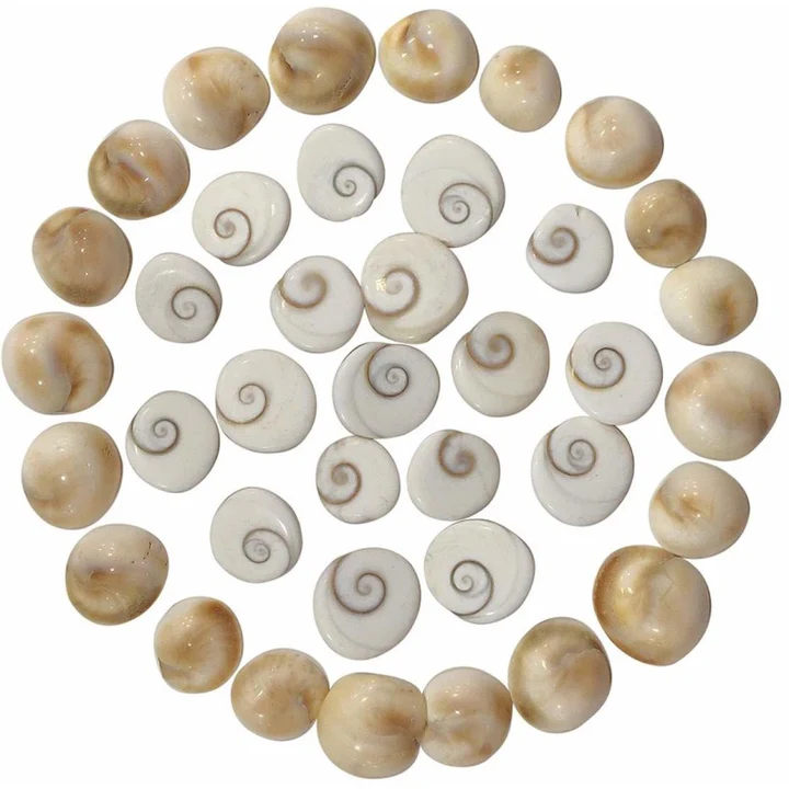 Gomti Chakra
